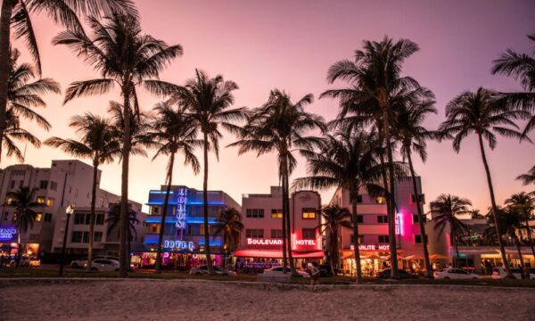 The vibrant and eclectic nightlife of Miami, reflecting the lively, charismatic spirit of its residents.